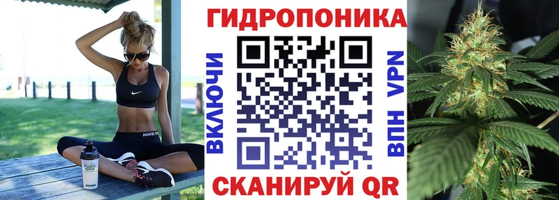 Магазины продажи наркотиков Сунжа КОКАИН  Галлюциногенные грибы  APVP  Амфетамин  Мефедрон  ГАШИШ  Конопля 