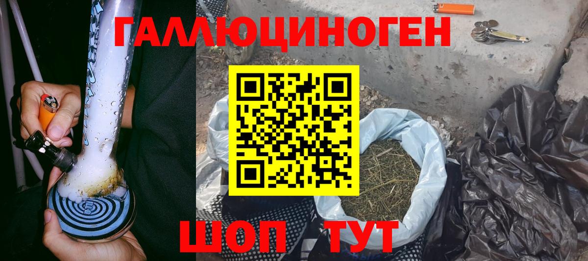 Галлюциногенные грибы прущие грибы Сунжа