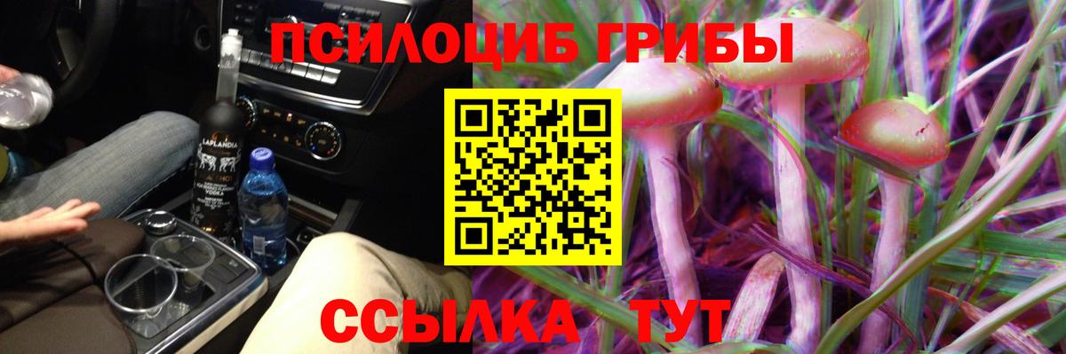 ГАШ  Вход с VPN  COCAIN  Меф   Каннабис  Гашиш  APVP СОЛЬ   Сунжа  Где найти наркотики? 