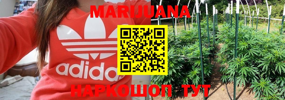 Бошки Шишки гибрид Сунжа