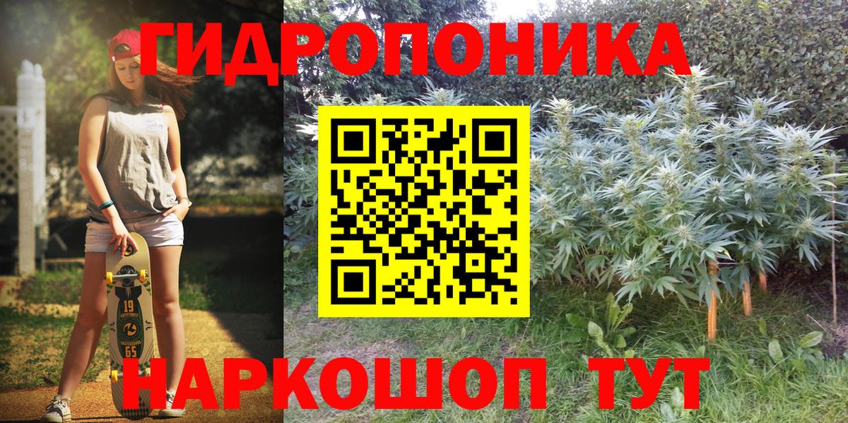 Канабис SATIVA & INDICA Сунжа